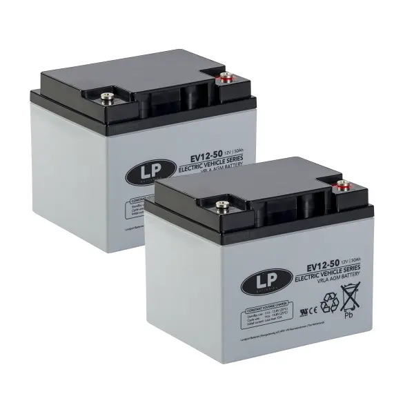 Akkusatz für Meyra - 24V - 50AH