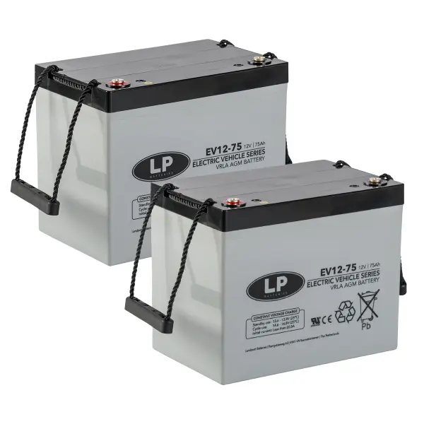 Akkusatz für Meyra - 24V - 75AH